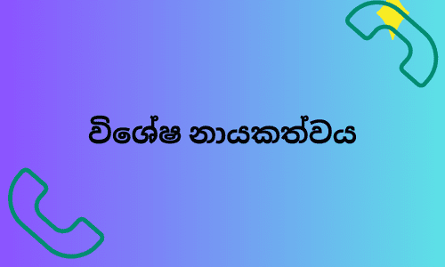 විශේෂ නායකත්වය