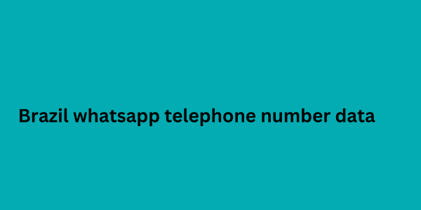 Brazil whatsapp telephone number data